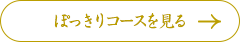 ぽっきりコースを見る